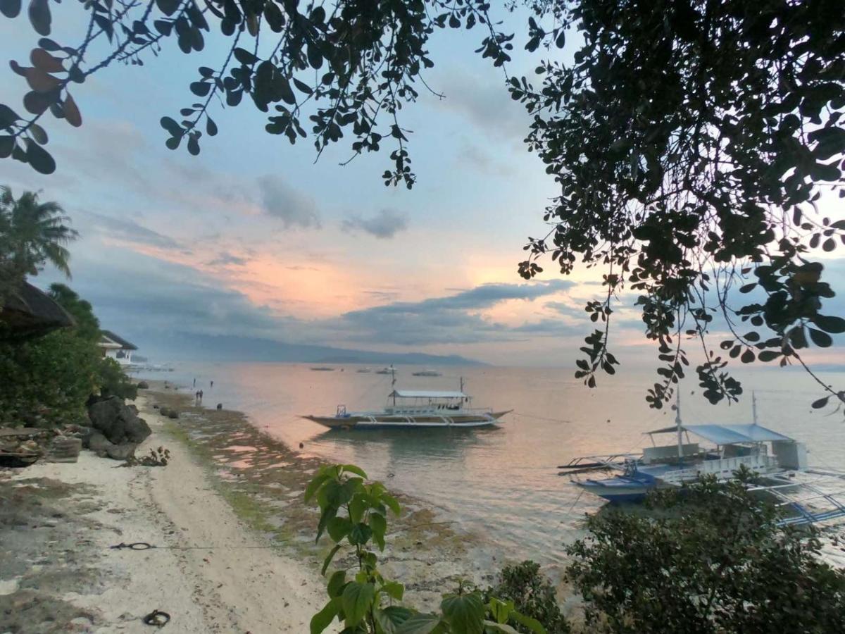 Pescador View - Beach Resort&Restaurant Moalboal Zewnętrze zdjęcie